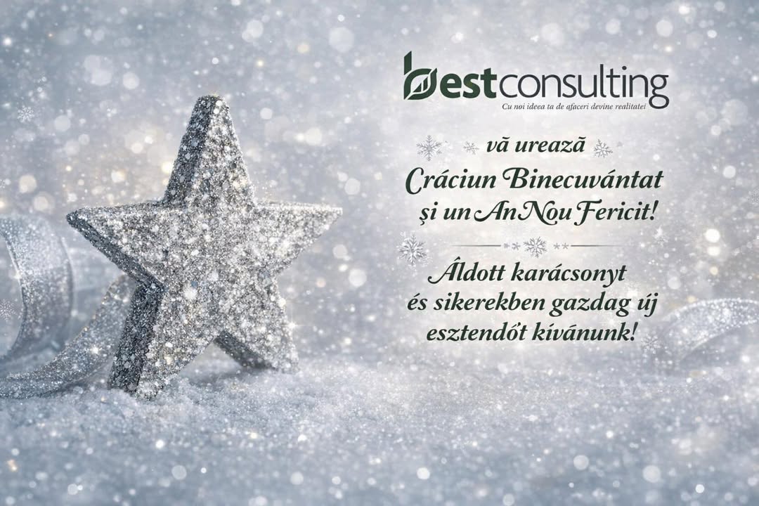 Best Consulting Salaj