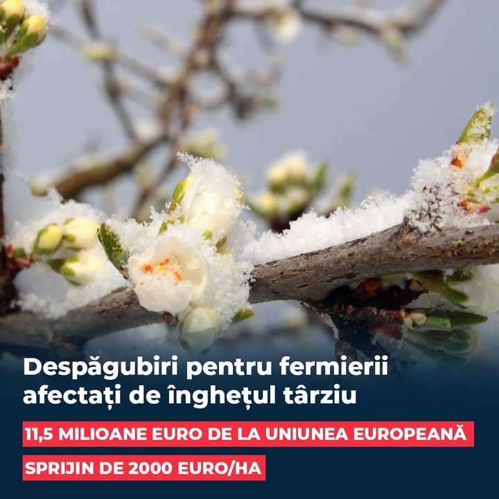 1474950042737738 1480931767366228