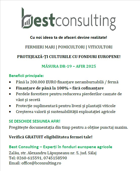 Best Consulting Salaj