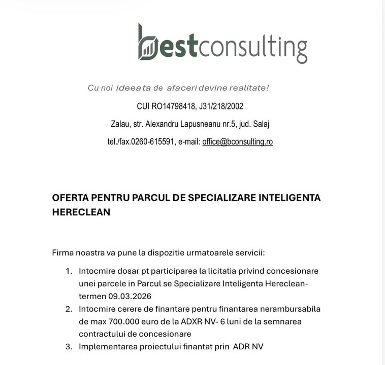 Best Consulting Salaj