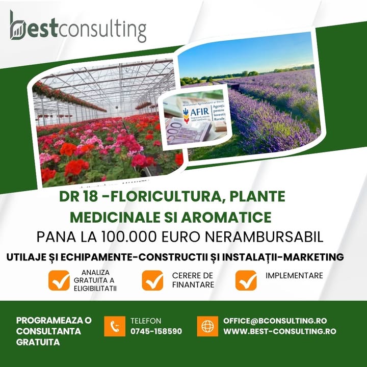 Best Consulting Salaj