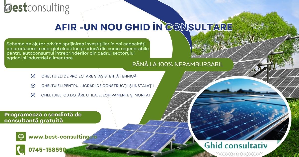 Best Consulting Salaj