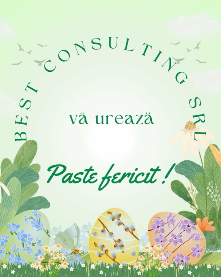 Best Consulting Salaj