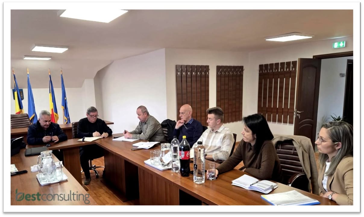 Best Consulting Salaj