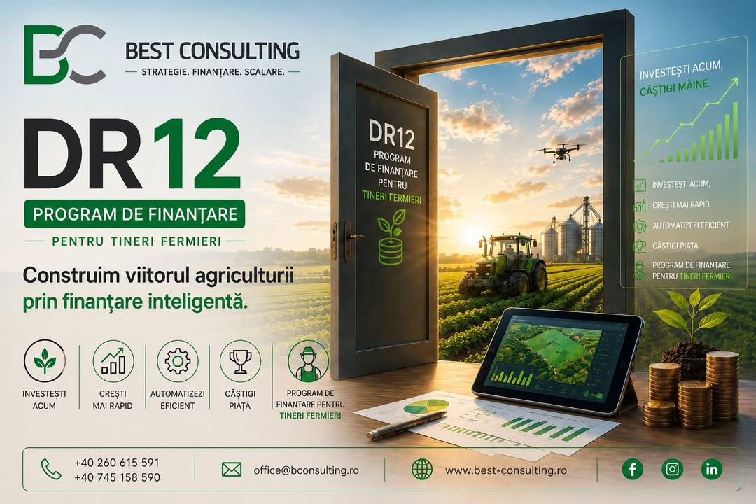 Best Consulting Salaj