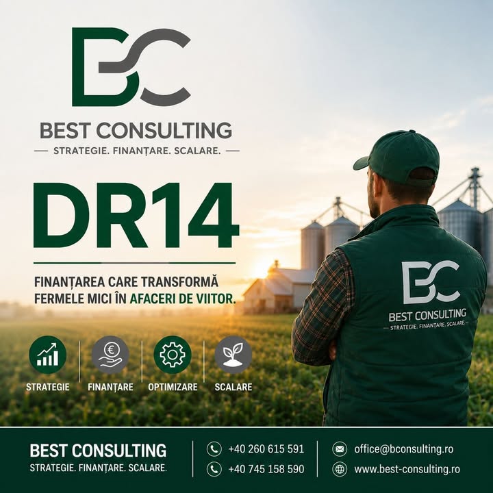 Best Consulting Salaj