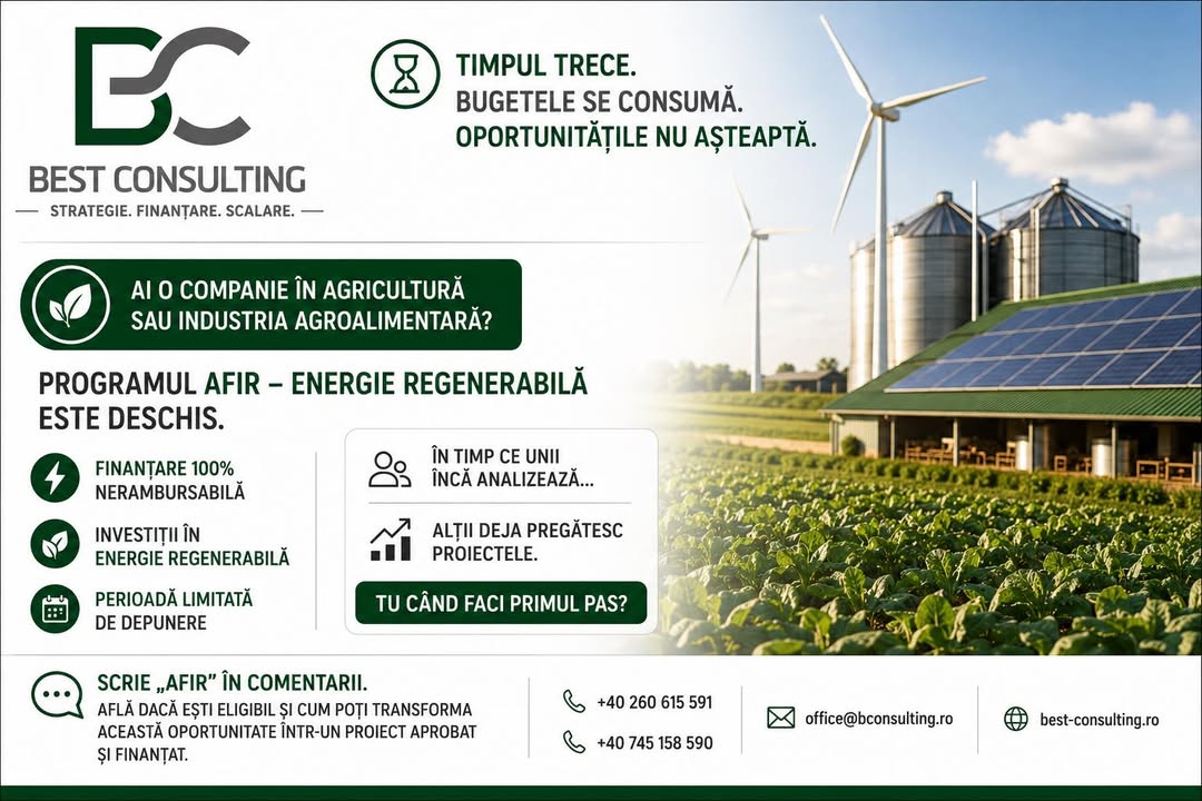 Best Consulting Salaj