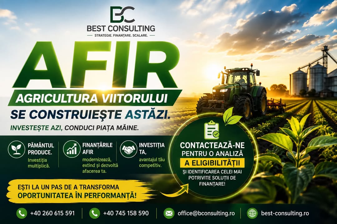 Best Consulting Salaj
