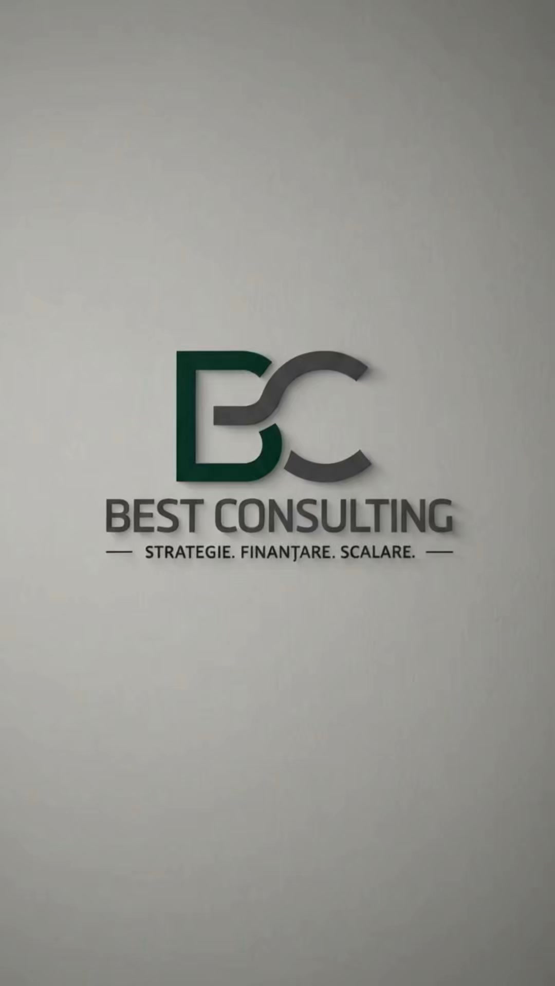 Best Consulting Salaj