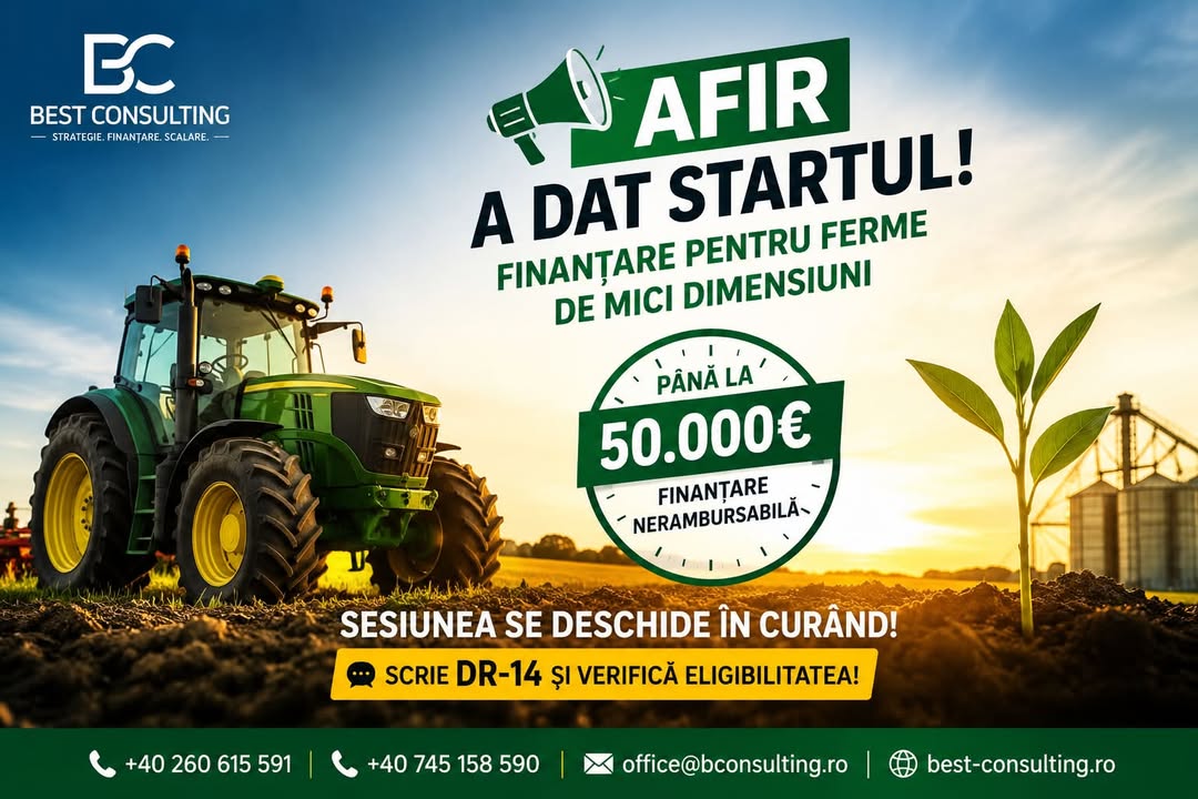 Best Consulting Salaj