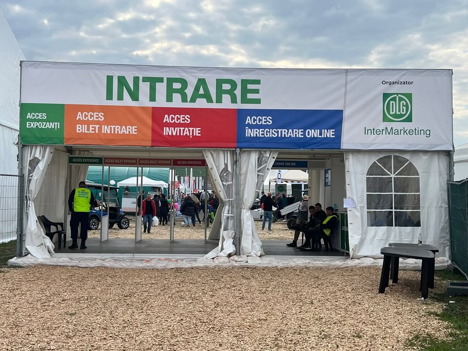 Best Consulting Salaj