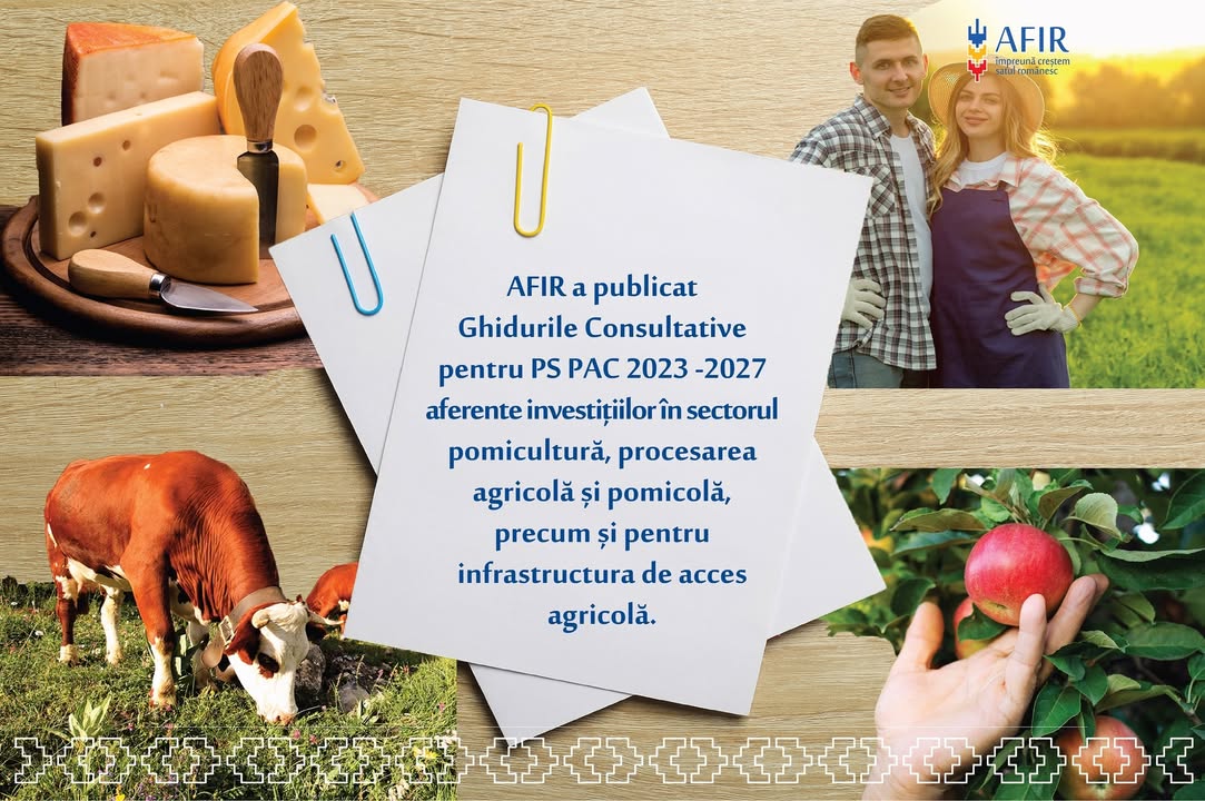 1474950042737738 768987701893975