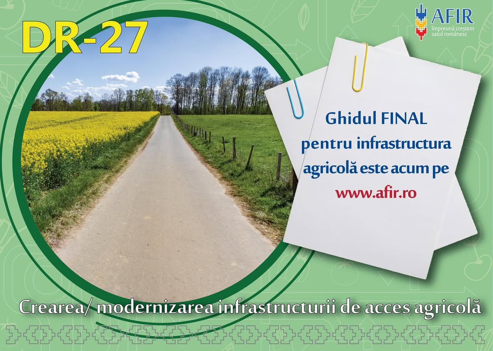 1474950042737738 817904203668991