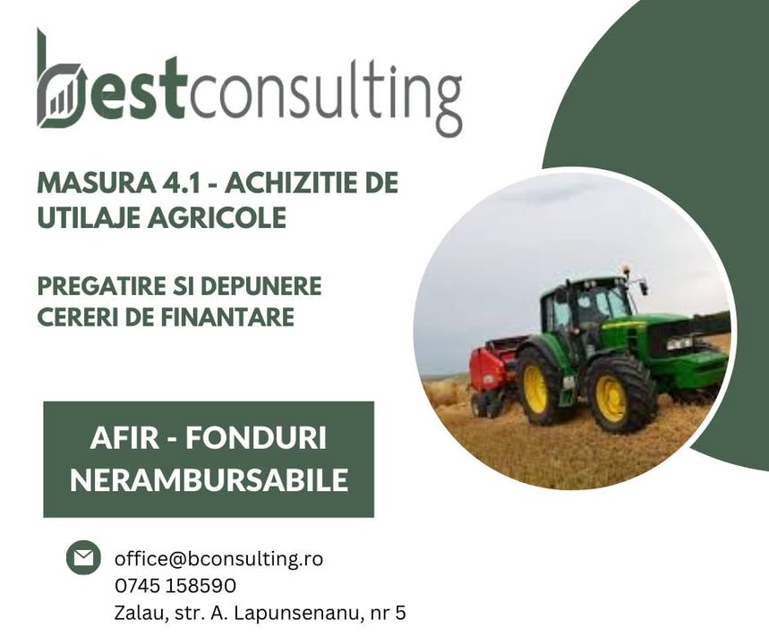 Best Consulting Salaj