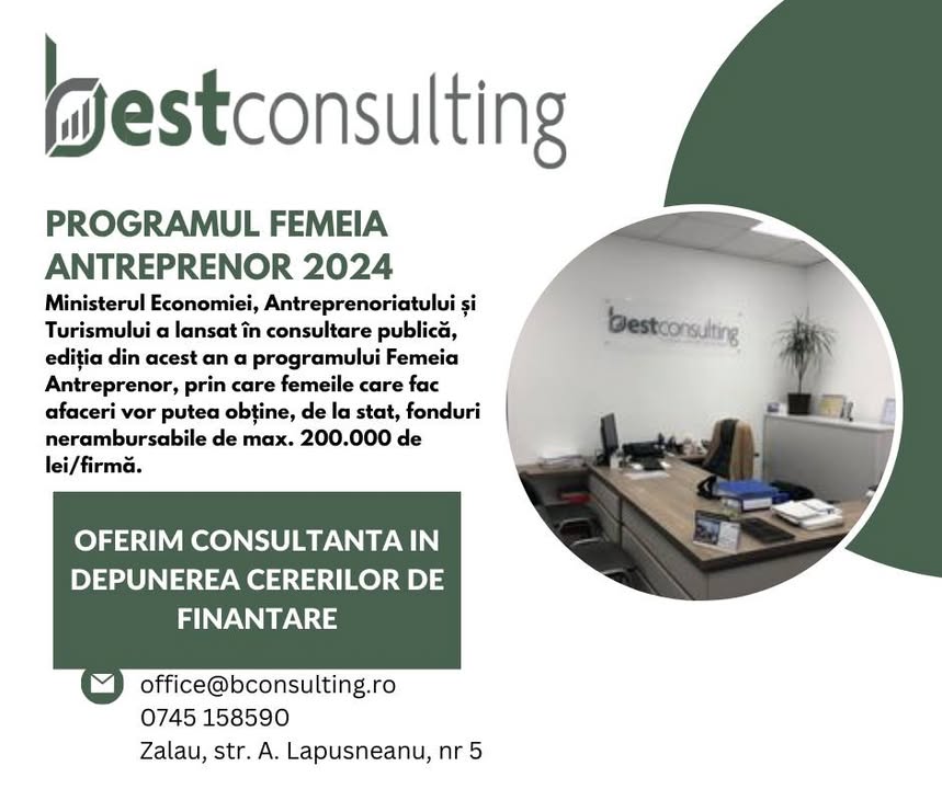 Best Consulting Salaj