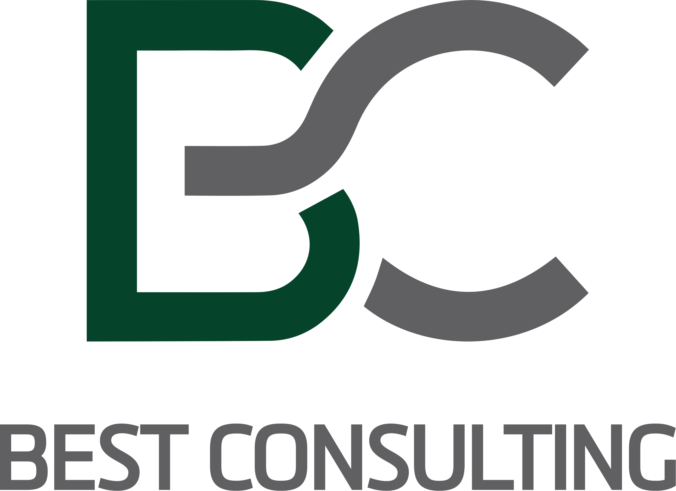 Best Consulting Logo COLOR
